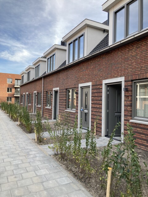 IMG 0941